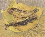 Vincent Van Gogh Crab on Its Back (nn04) USA oil painting artist